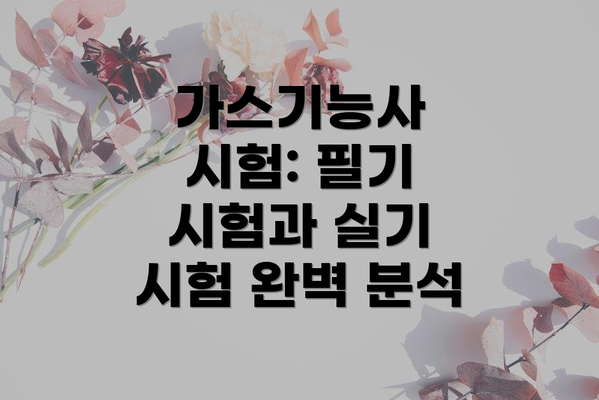 가스기능사 시험: 필기 시험과 실기 시험 완벽 분석