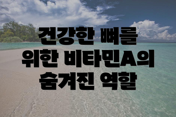 건강한 뼈를 위한 비타민A의 숨겨진 역할