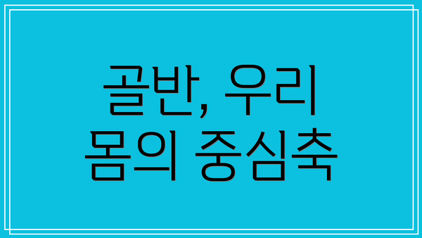 골반, 우리 몸의 중심축
