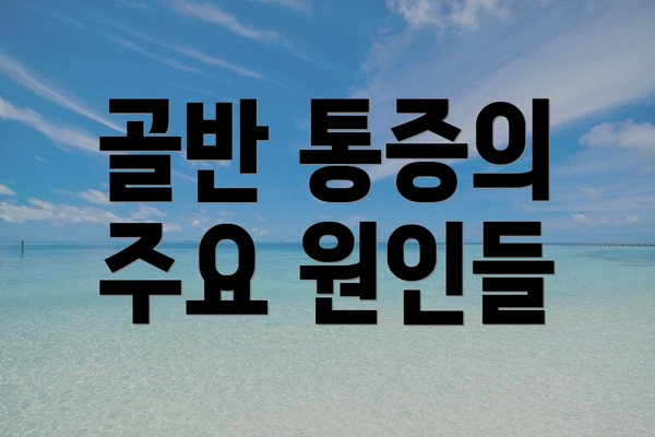 골반 통증의 주요 원인들