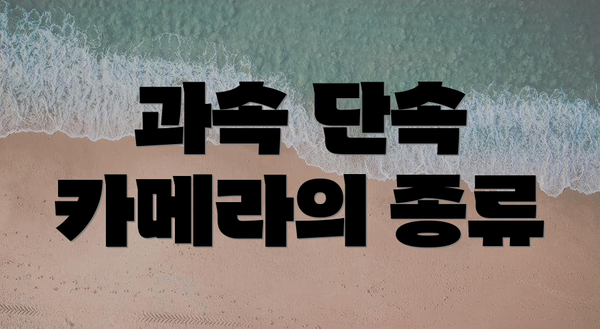 과속 단속 카메라의 종류