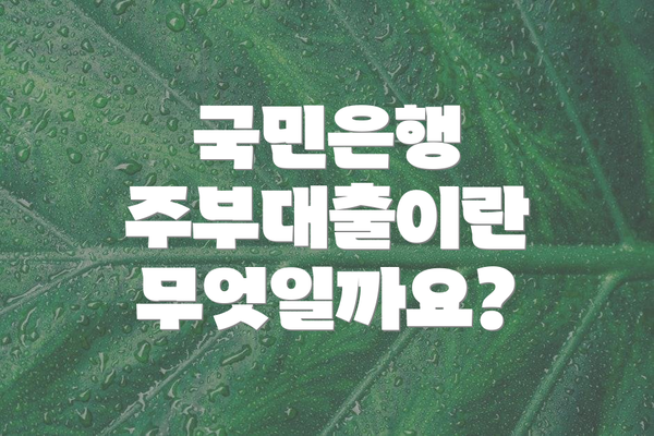 국민은행 주부대출이란 무엇일까요?