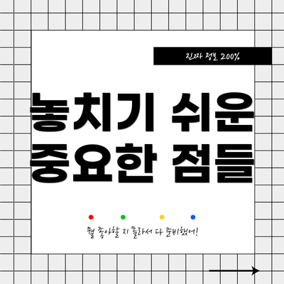 놓치기 쉬운 중요한 점들