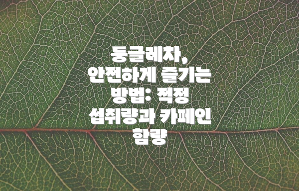 둥글레차, 안전하게 즐기는 방법: 적정 섭취량과 카페인 함량
