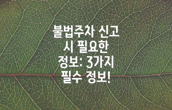 불법주차 신고 시 필요한 정보: 3가지 필수 정보!