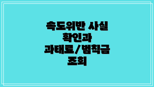 속도위반 사실 확인과 과태료/범칙금 조회
