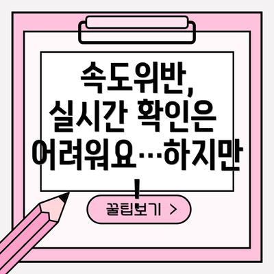 속도위반, 실시간 확인은 어려워요…하지만!