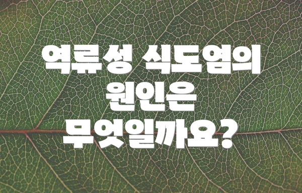 역류성 식도염의 원인은 무엇일까요?