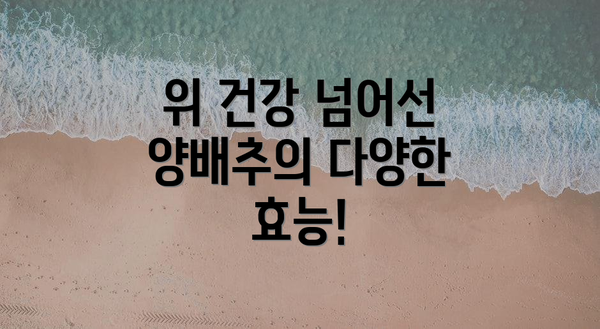 위 건강 넘어선 양배추의 다양한 효능!