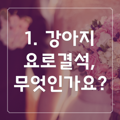 1. 강아지 요로결석, 무엇인가요?