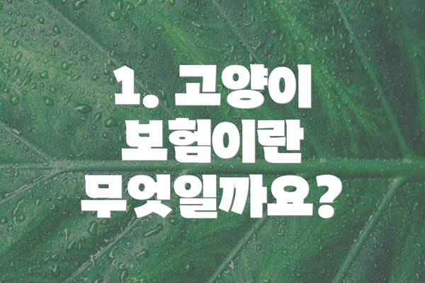 1. 고양이 보험이란 무엇일까요?