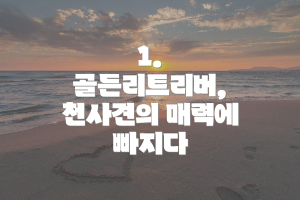 1. 골든리트리버, 천사견의 매력에 빠지다