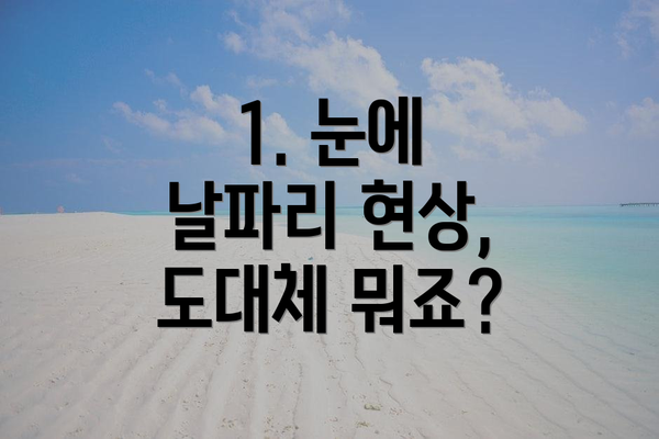 1. 눈에 날파리 현상, 도대체 뭐죠?
