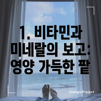 1. 비타민과 미네랄의 보고: 영양 가득한 팥