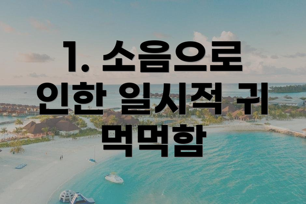 1. 소음으로 인한 일시적 귀 먹먹함