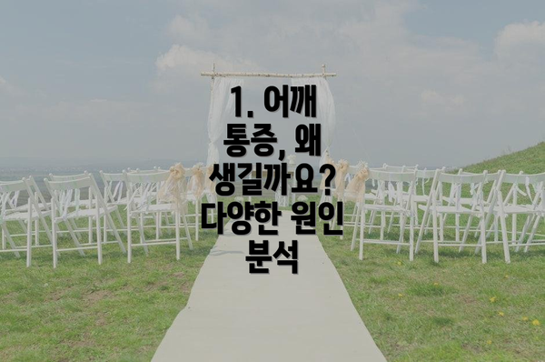 1. 어깨 통증, 왜 생길까요? 다양한 원인 분석