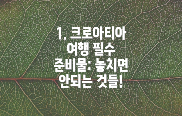 1. 크로아티아 여행 필수 준비물: 놓치면 안되는 것들!