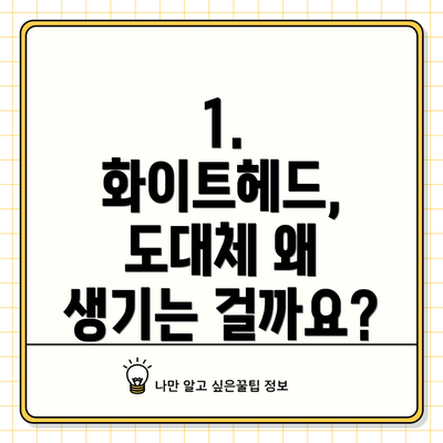 1. 화이트헤드, 도대체 왜 생기는 걸까요?