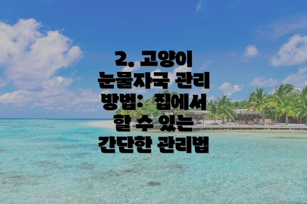 2. 고양이 눈물자국 관리 방법:  집에서 할 수 있는 간단한 관리법