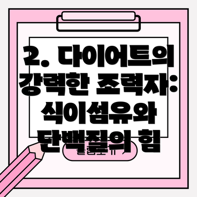 2. 다이어트의 강력한 조력자: 식이섬유와 단백질의 힘