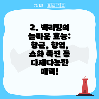 2. 백리향의 놀라운 효능: 항균, 항염, 소화 촉진 등 다재다능한 매력!