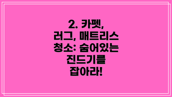 2. 카펫, 러그, 매트리스 청소: 숨어있는 진드기를 잡아라!