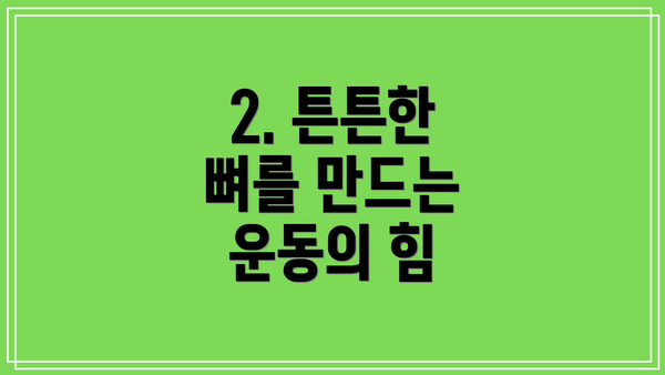 2. 튼튼한 뼈를 만드는 운동의 힘