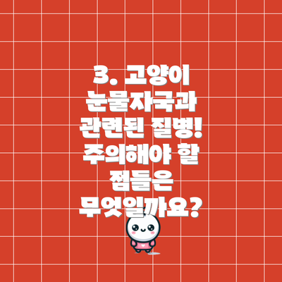 3. 고양이 눈물자국과 관련된 질병!  주의해야 할 점들은 무엇일까요?