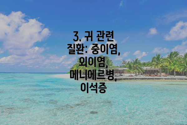 3. 귀 관련 질환: 중이염, 외이염, 메니에르병, 이석증