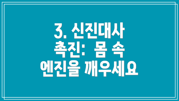 3. 신진대사 촉진:  몸 속 엔진을 깨우세요