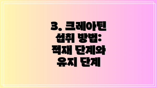 3. 크레아틴 섭취 방법: 적재 단계와 유지 단계