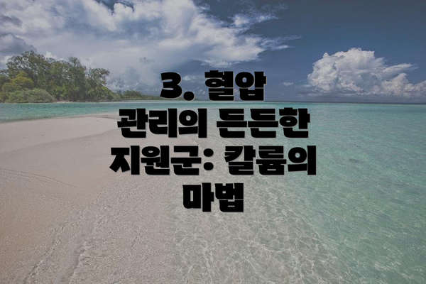 3. 혈압 관리의 든든한 지원군: 칼륨의 마법