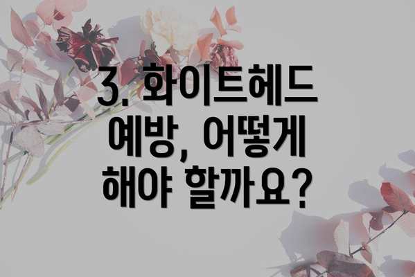 3. 화이트헤드 예방, 어떻게 해야 할까요?