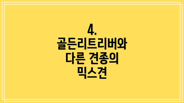 4. 골든리트리버와 다른 견종의 믹스견