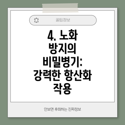 4. 노화 방지의 비밀병기: 강력한 항산화 작용