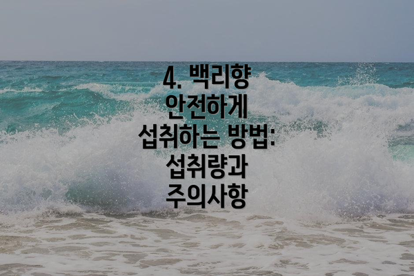 4. 백리향 안전하게 섭취하는 방법: 섭취량과 주의사항