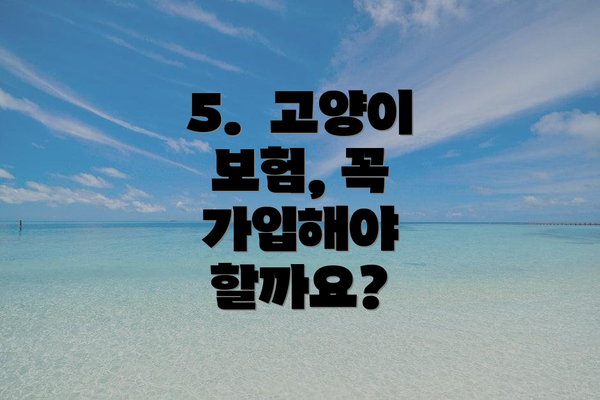 5.  고양이 보험, 꼭 가입해야 할까요?