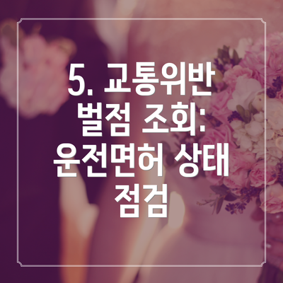 5. 교통위반 벌점 조회: 운전면허 상태 점검