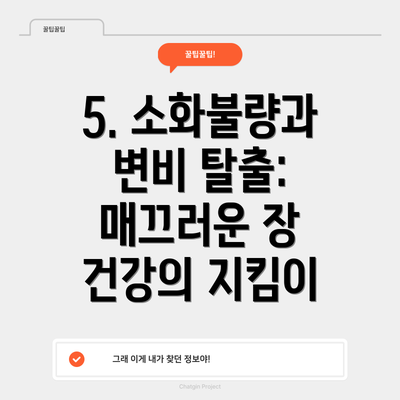 5. 소화불량과 변비 탈출: 매끄러운 장 건강의 지킴이