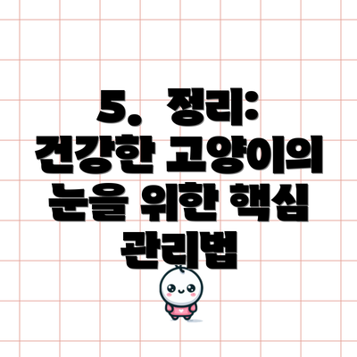5.  정리: 건강한 고양이의 눈을 위한 핵심 관리법