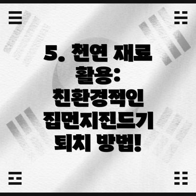 5. 천연 재료 활용: 친환경적인 집먼지진드기 퇴치 방법!