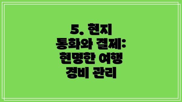 5. 현지 통화와 결제: 현명한 여행 경비 관리