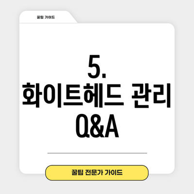 5.  화이트헤드 관리 Q&A