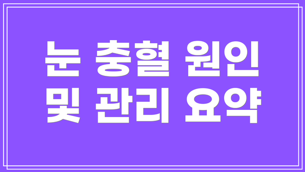 눈 충혈 원인 및 관리 요약