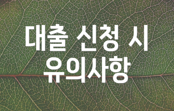 대출 신청 시 유의사항