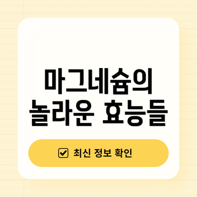마그네슘의 놀라운 효능들