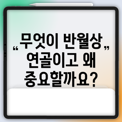 무엇이 반월상 연골이고 왜 중요할까요?