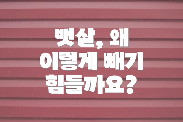 뱃살, 왜 이렇게 빼기 힘들까요?