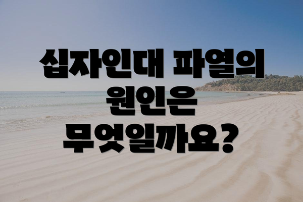 십자인대 파열의 원인은 무엇일까요?