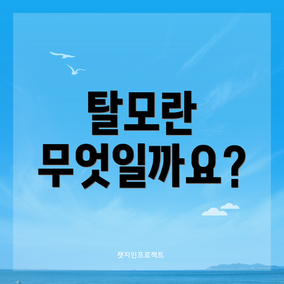 탈모란 무엇일까요?